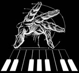shake the lake - logo invers
